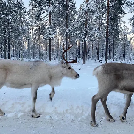 Kuusirinne 2b -a Cozy Near The Slopes Of Apartment *
