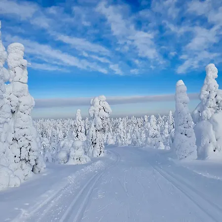 Kuusirinne 2b -a Cozy Near The Slopes Of Apartment *