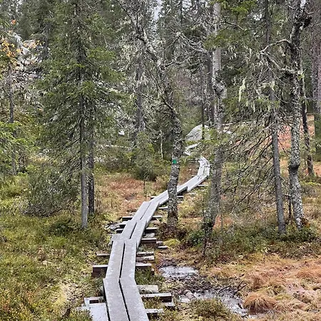 Kuusirinne 2b -a Cozy Near The Slopes Of