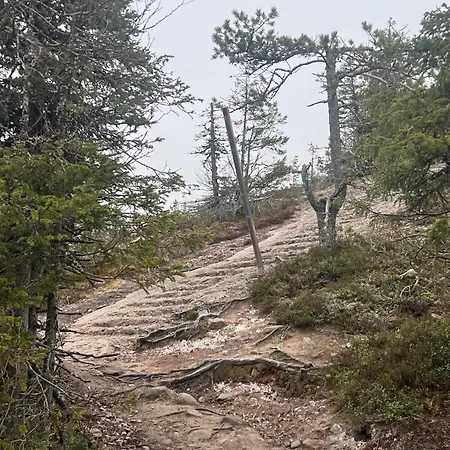 Apartment Kuusirinne 2b -a Cozy Near The Slopes Of *