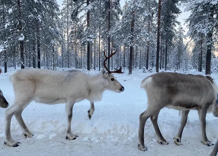 Kuusirinne 2b -a Cozy Near The Slopes Of شقة *