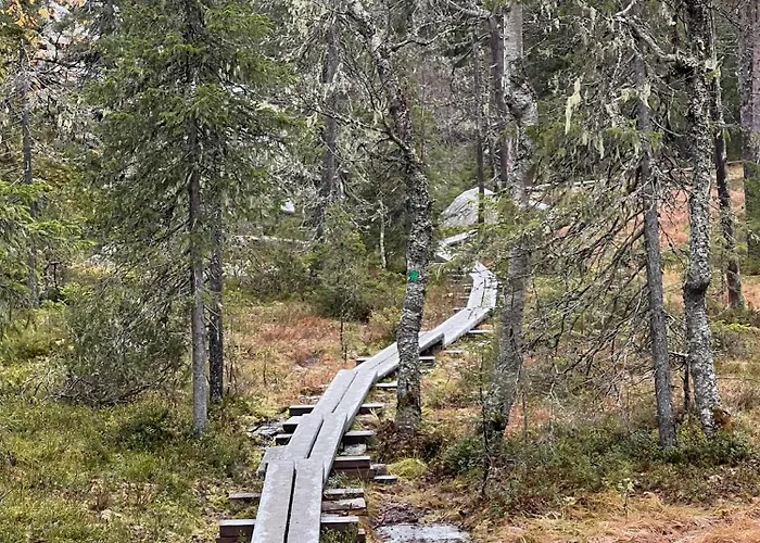 Kuusirinne 2b -a Cozy Near The Slopes Of